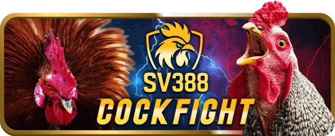Hỗ trợ khách hàng 24/7 King33